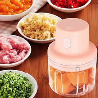 Electric chopper and grinder